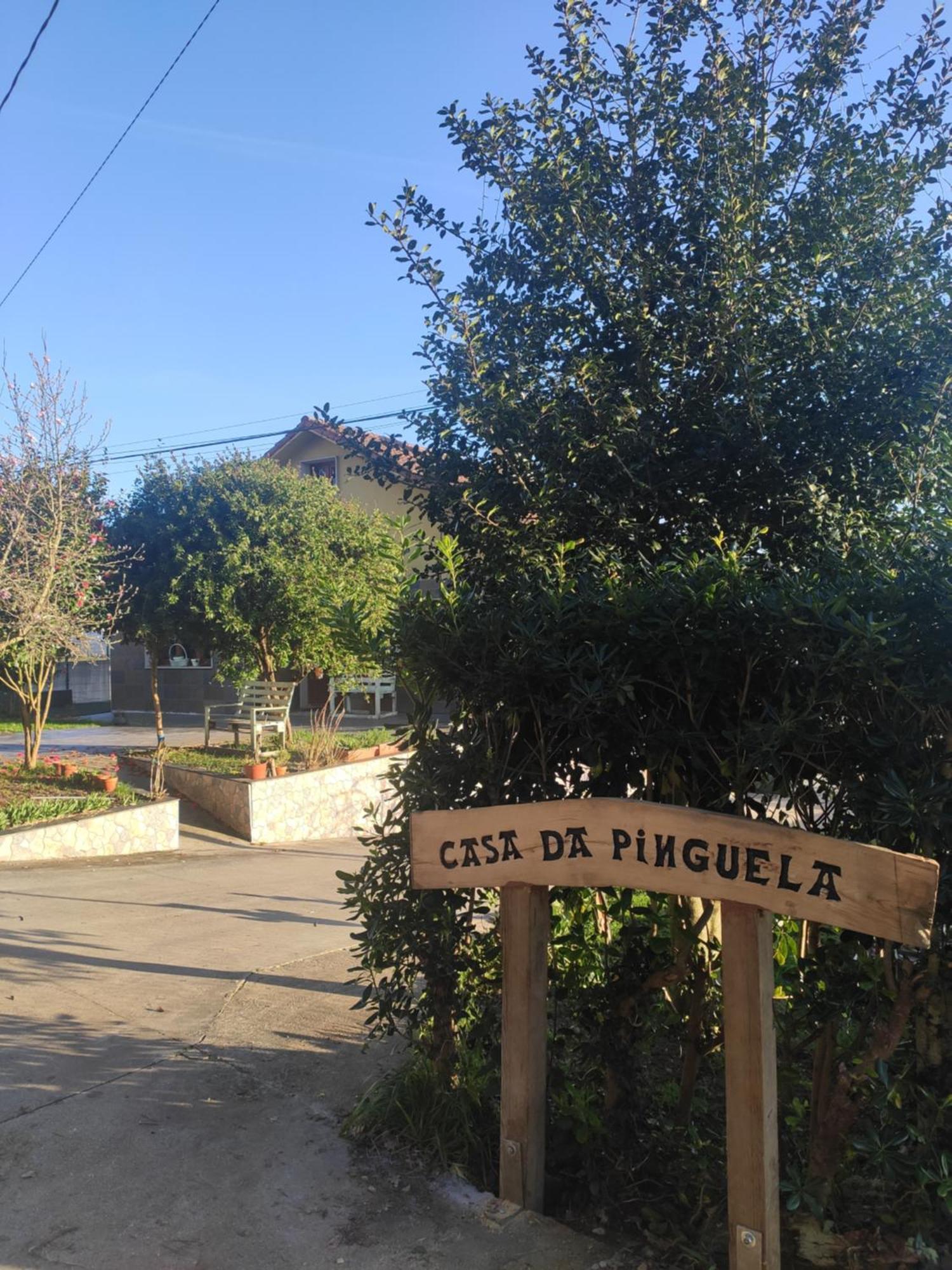Casa Da Pinguela Camino Ingles Villa Ordes ภายนอก รูปภาพ